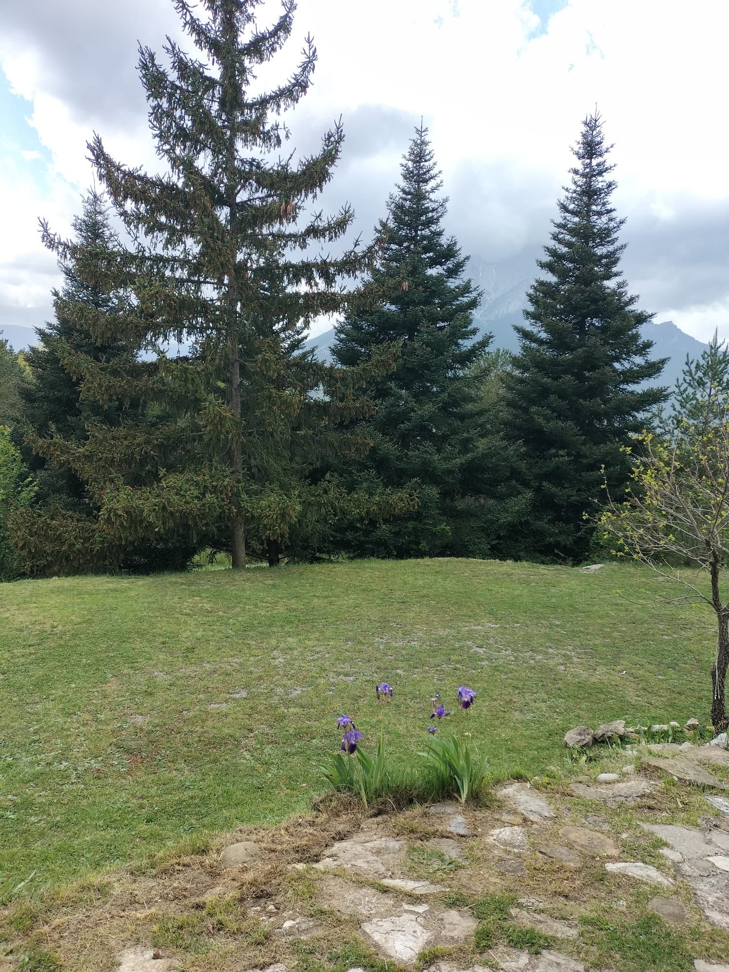 El jardí amb flors